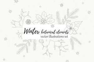 Winter collection botanical elements