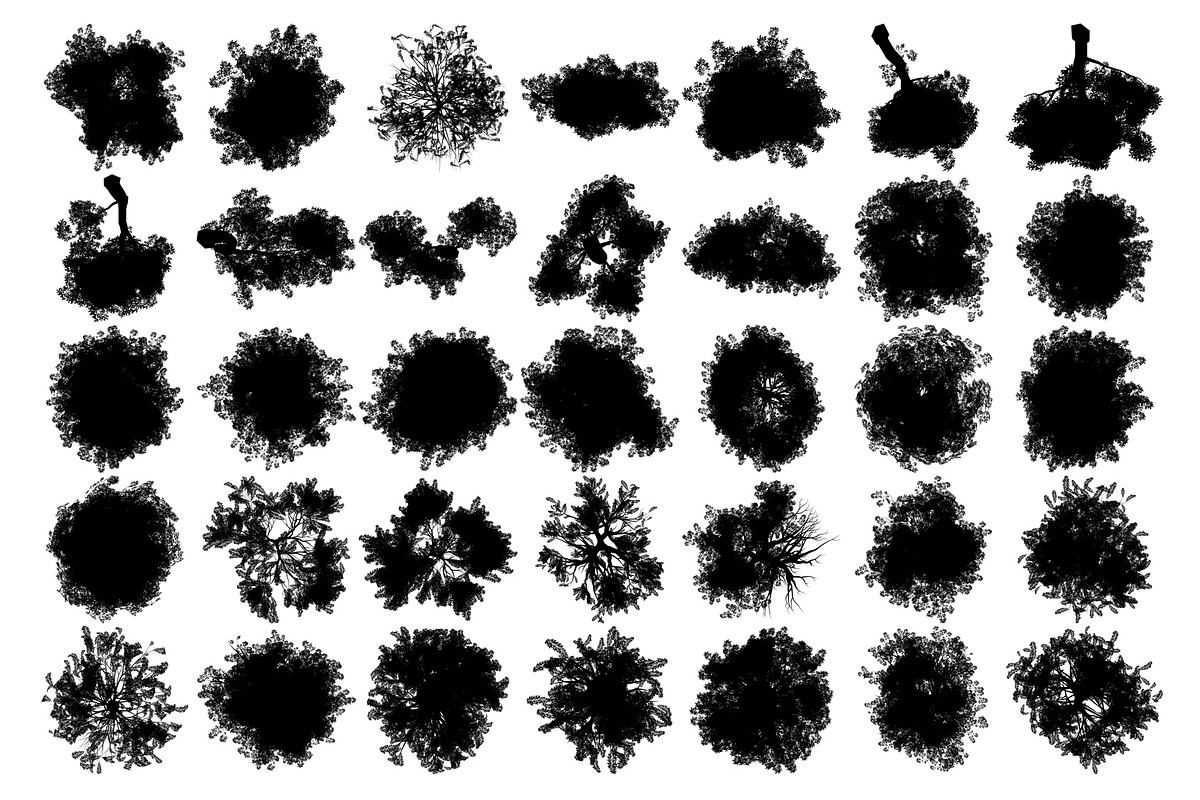 Tree Brushes - Willow Edition, a Brush Add-On by xresch (Photo 25 of 27)