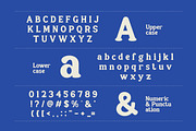 Revopad - Retro Elegant Serif Font, a Serif Font by Flawless And Co (Thumbnail 9 of 10)