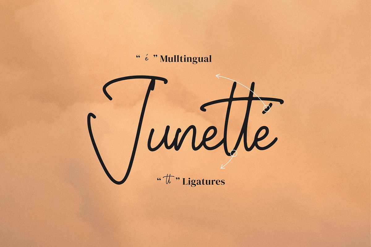 Whitteney, a Script Font by Integritype Studio (Photo 14 of 15)