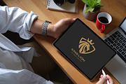 Royal Lion Logo Design, a Branding & Logo Template by YUDesignStore (Thumbnail 7 of 9)