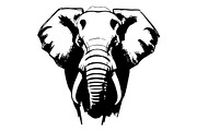 Elephant Vector Elements Bundle, an Animal Illustration by balal (Thumbnail 18 of 18)
