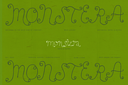 Perfect Sprouts | Whimsical Font, a Handwritten Font by type peace (Thumbnail 17 of 20)
