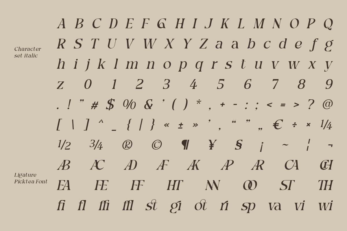 Picktea – Elegant Luxury Serif, a Serif Font by roomspace creative lab (Photo 11 of 12)