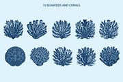 Underwater Vintage illustrations, an Object Illustration by Chaka_32 (Thumbnail 3 of 3)