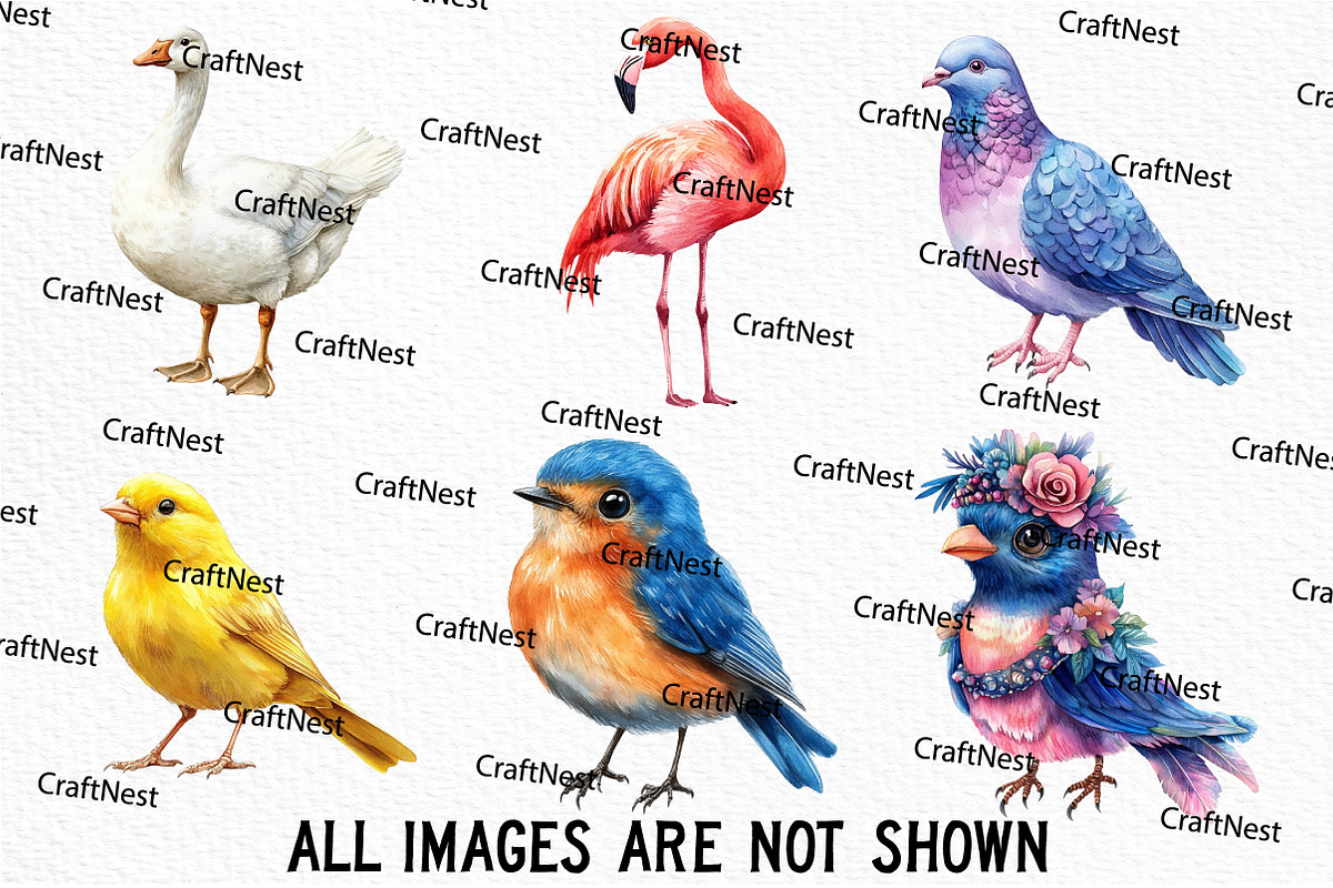 Cute Birds Clipart, an Illustration by Craft Nest (Photo 5 of 6)