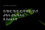 Leubrik - Serif Typeface Font, a Serif Font by Rishsketch (Thumbnail 12 of 15)