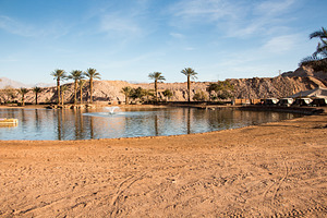 Oasis with lake