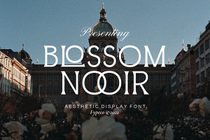 Blossom Noir -Aesthetic Display Font
