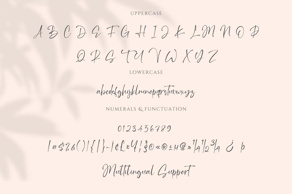 Merillyne Signature - Natural Script, a Handwritten Font by CreateBigSupply (Photo 3 of 9)