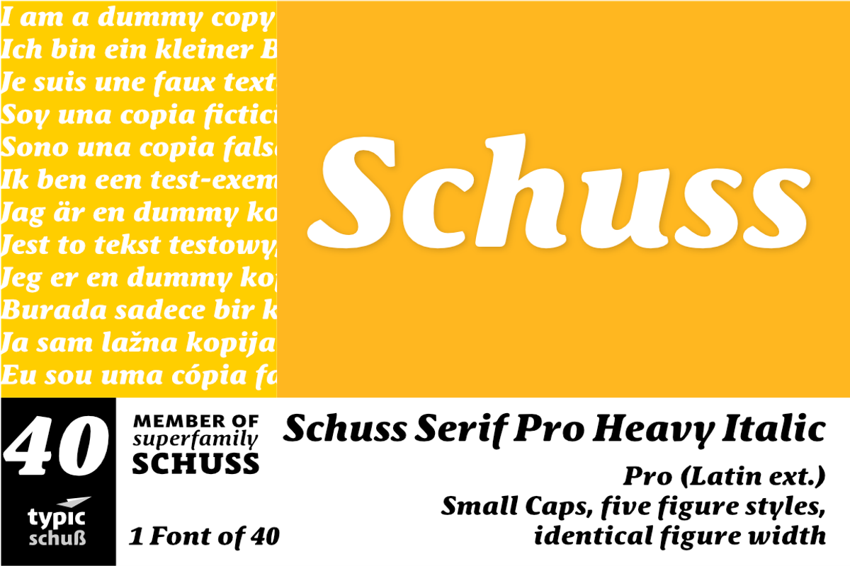 SchussSerifProHeavIta No.40 (1 Font)