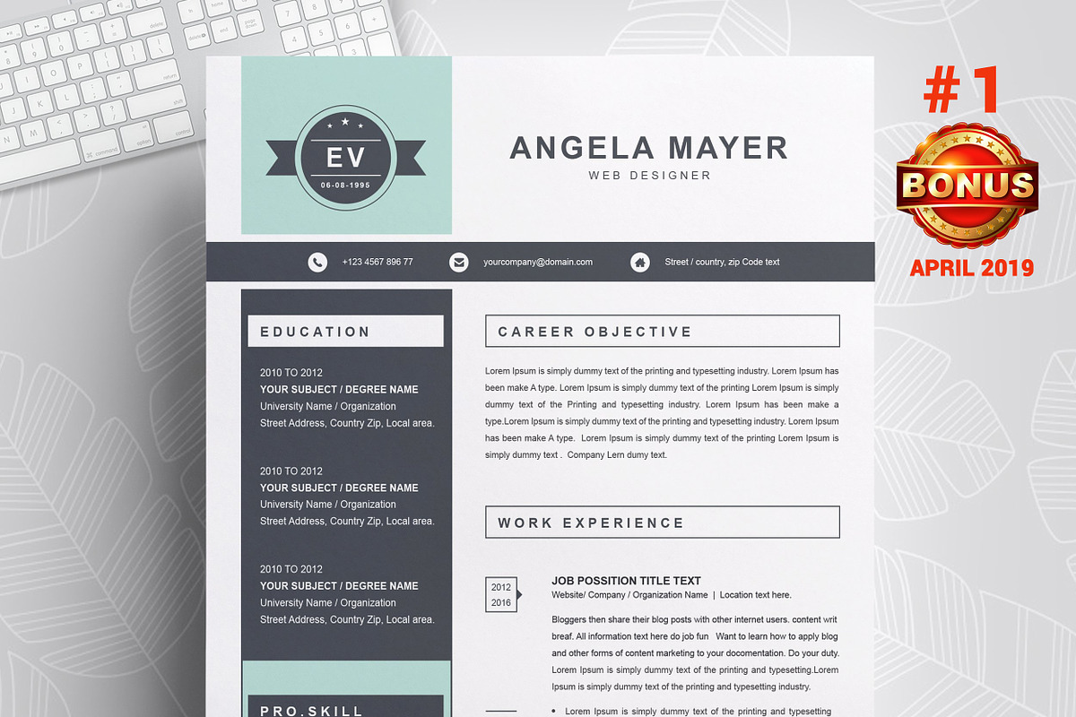 Resume/CV Bundle | 200+ for $29, a Resume Template by ResumeInventor (Photo 47 of 207)