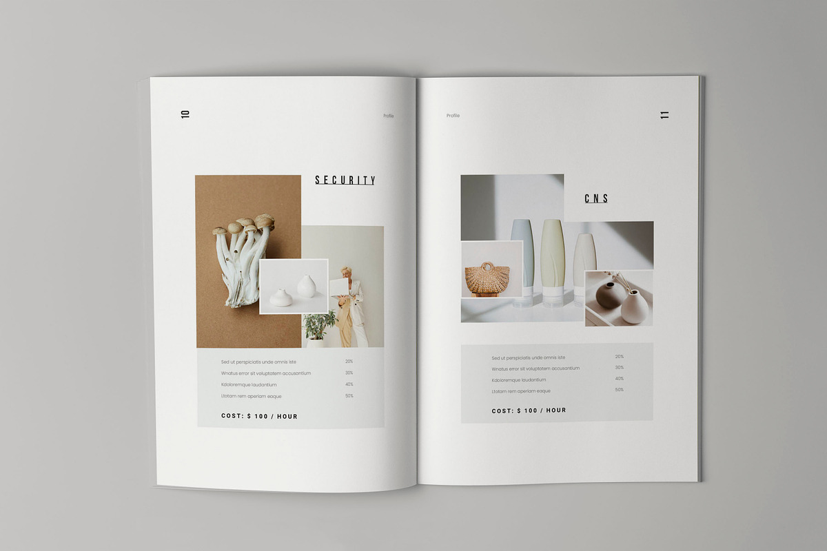Company Profile Template, a Brochure Template by HR Studio (Photo 6 of 11)