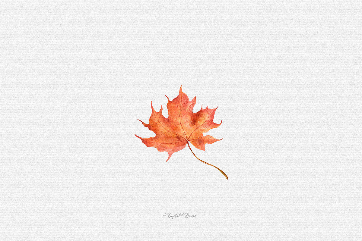 Watercolor fall leaves, an Illustration by DigitalDream (Photo 5 of 5)