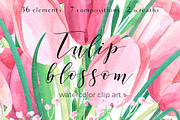 Tulip blossom. Watercolor clip art, an Illustration by Anyuka (Thumbnail 1 of 5)