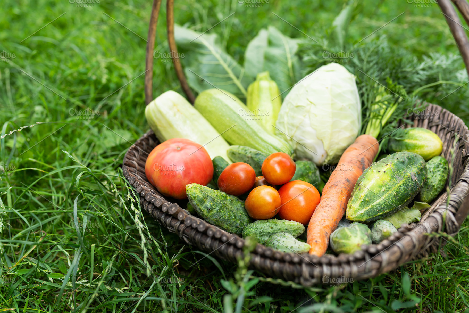 There is a wooden basket with homemade vegetables in the garden. Selective focu, a Food & Drink Photo by Artsaba Family