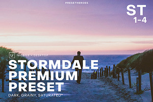 Stormdale Moody Lightroom Preset