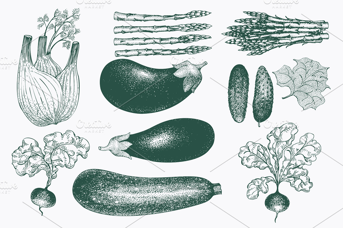 Vegetable Vector Collection, a Food Illustration by Lubov Illustrations Shop (Photo 4 of 6)