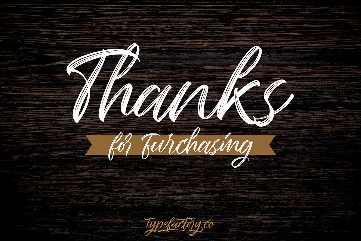 Seymore – Brush Script Font, a Script Font by Typefactoryco (Photo 12 of 12)