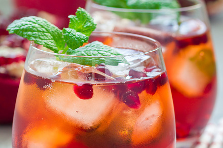 Mojito cocktail with pomegranate mint lemon juice and ice in glass vertical, a Food & Drink Photo by iuliia_n
