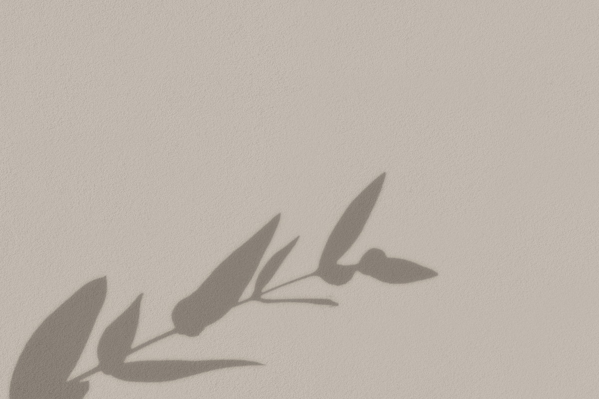 60 Shadow Overlay Pack | PSD + PNG, a Product Mockup by GRPXSTORE (Photo 13 of 17)