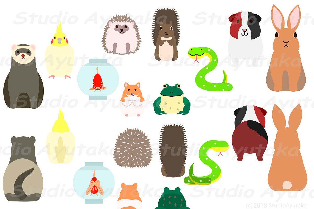 10 pet animals front&back bundle, a Graphic by dogsinarow (Photo 2 of 3)