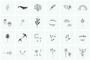 150 Hand Drawn Elements -Nature, an Animal Illustration by Michael Rayback Design (Thumbnail 6 of 22)