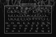 Belvina - Modern Luxury Serif Font, a Serif Font by Qweera Studio (Thumbnail 11 of 12)
