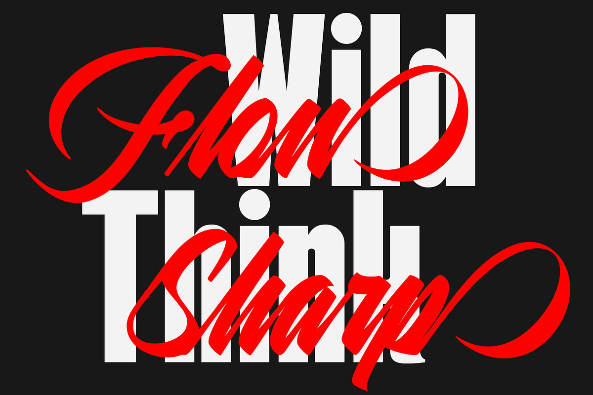 Racik | Font Duo, a Script Font by Lemonthe (Photo 7 of 9)