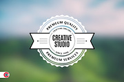 Premium Badge or Logo Designs, a Branding & Logo Template by C-Kav (Thumbnail 2 of 7)