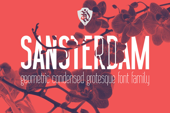 Sansterdam Bold and Thin preview 8