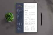 Luxurious Style Resume CV, a Resume Template by Saman Osama (Thumbnail 2 of 3)