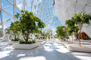 Beautiful indoor garden with modern architecture and greenery in bright sunligh, a Photo by AlyaAnd