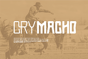 Proach Font, a Serif Font by Grontype (Thumbnail 4 of 12)