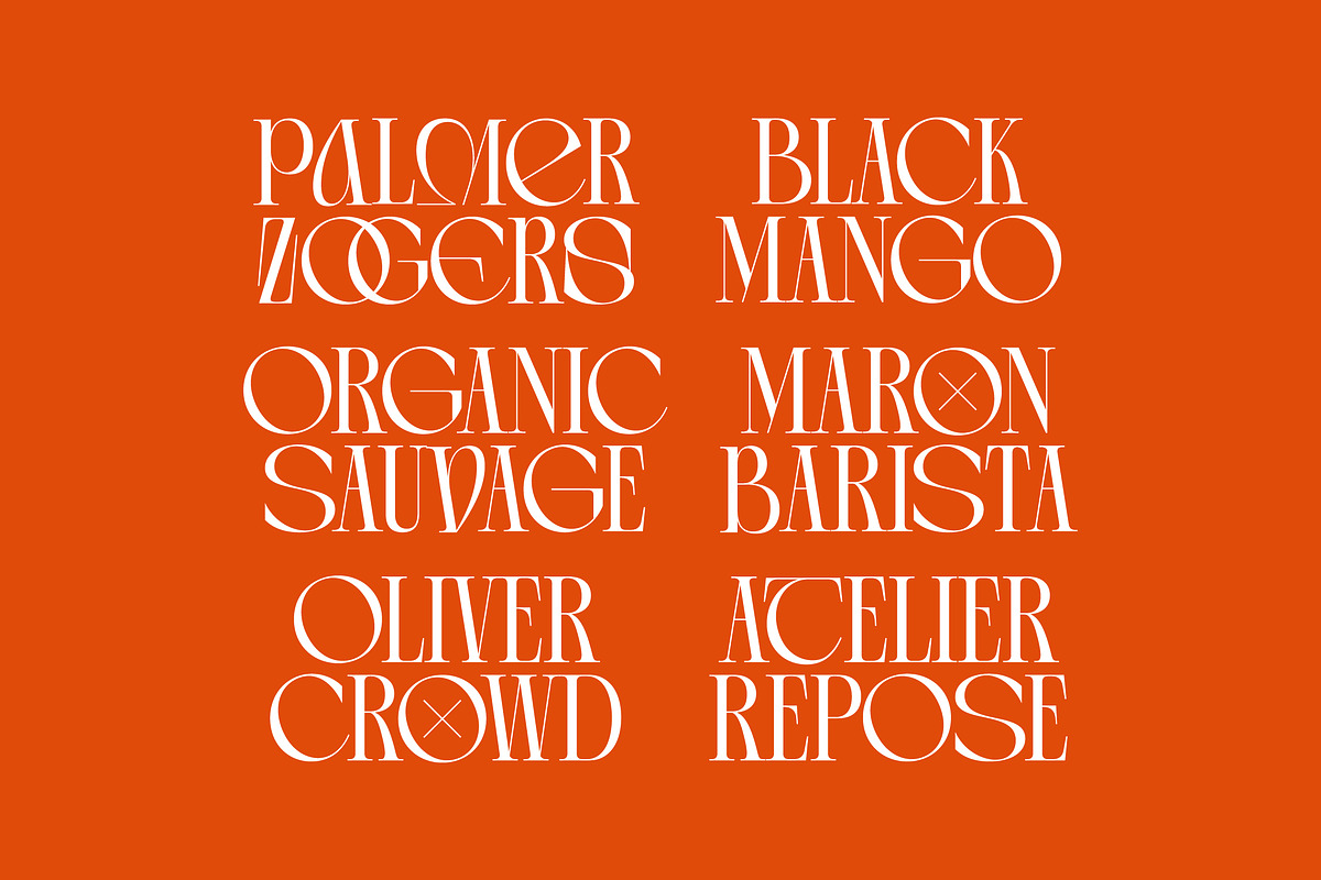 Arganica Stylish Display Serif, a Serif Font by timelesstype.co (Photo 3 of 20)