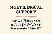 Baristo, a Serif Font by ToniStudio (Thumbnail 8 of 8)
