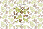 Acorns & Leaves Watercolor Patterns, a Pattern Graphic by Mazheika Store (Thumbnail 9 of 9)