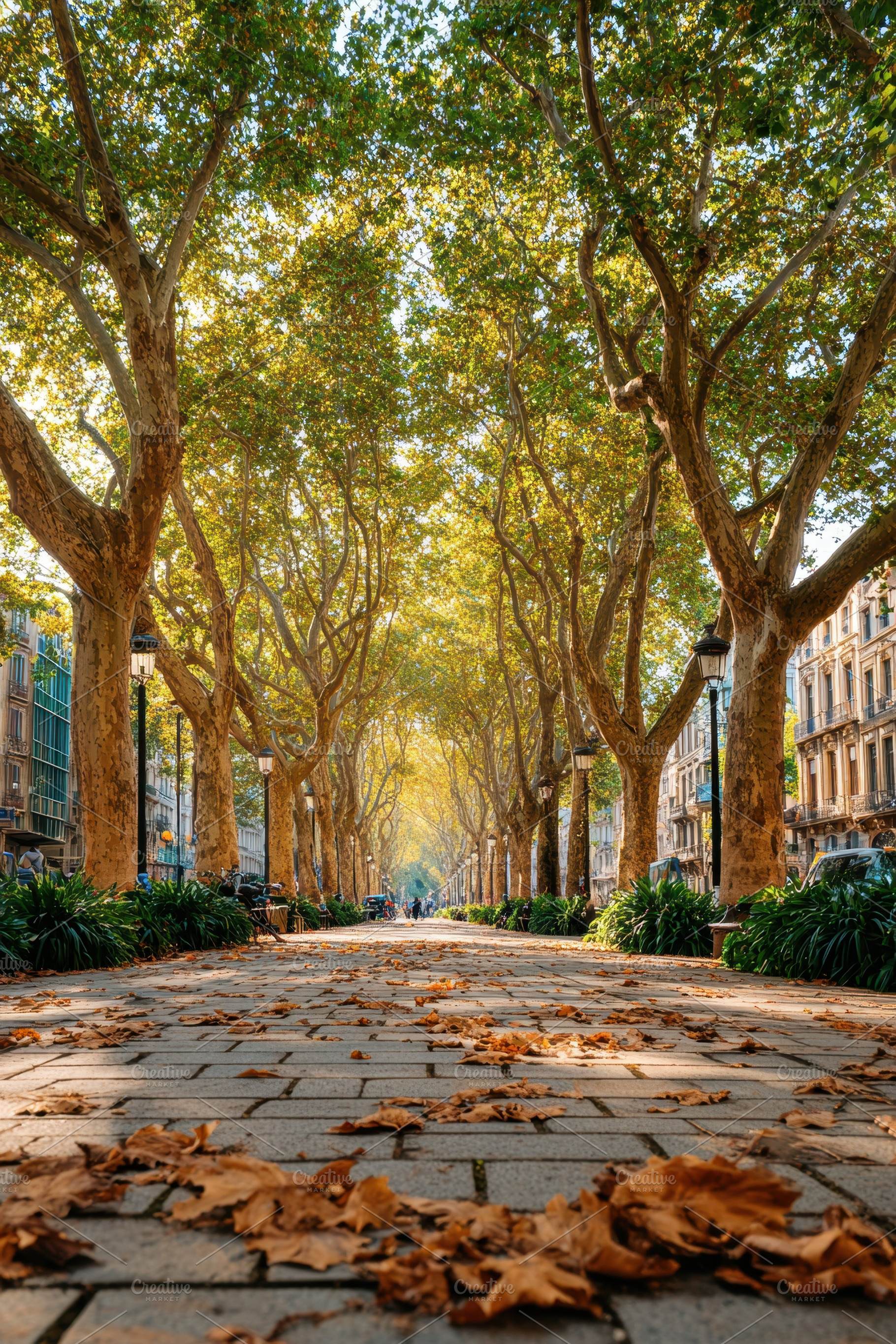 Serene tree-lined pathway in a tranquil park, a Nature Photo by AlyaAnd