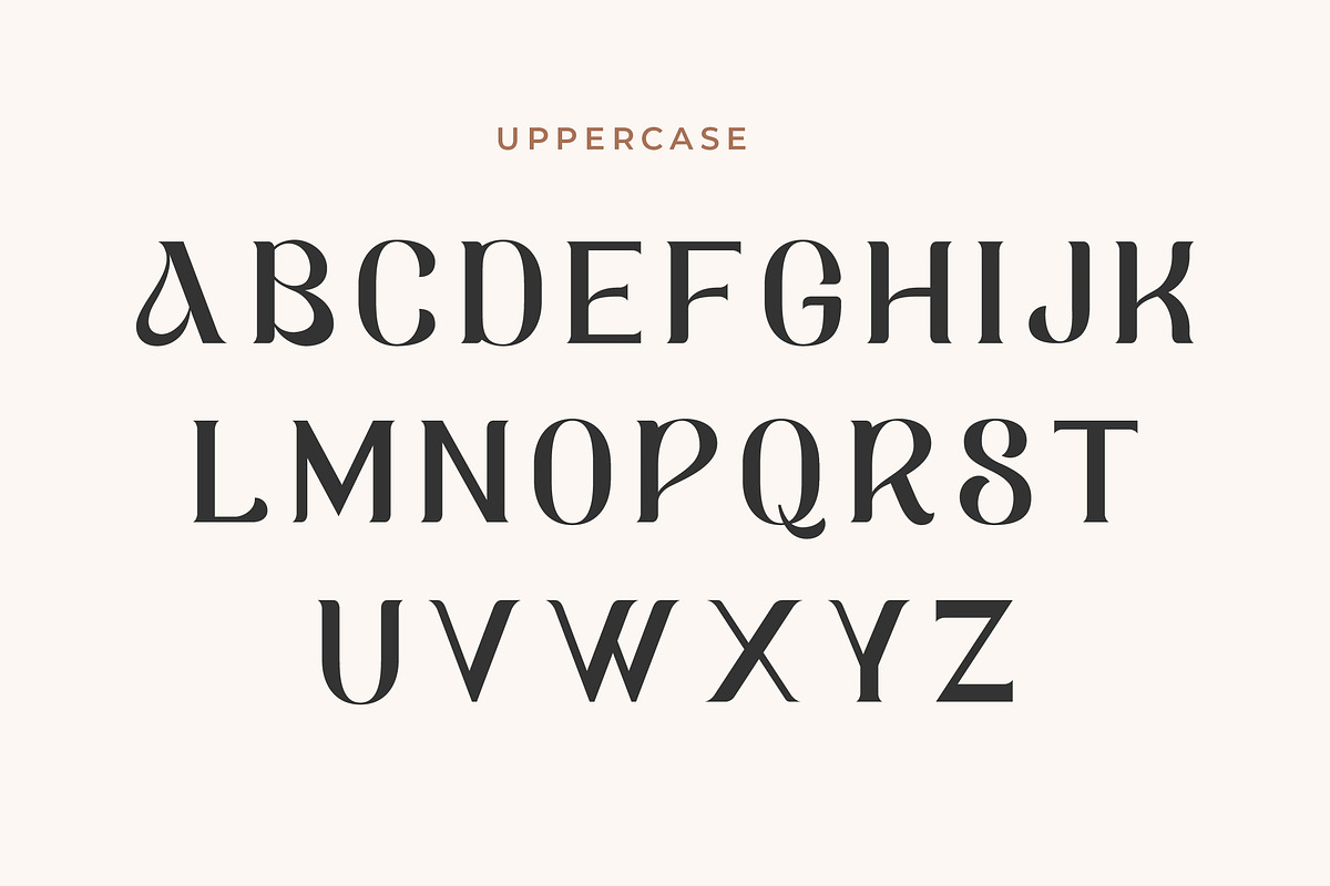 Avello - Modern Elegant Serif Font, a Serif Font by Mily Studio (Photo 4 of 10)