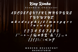 King Rimba Modern Brush Font