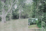 Fog & Rain Brushes & Overlays, a Brush Add-On by MarieMcKennaDesigns (Thumbnail 3 of 4)