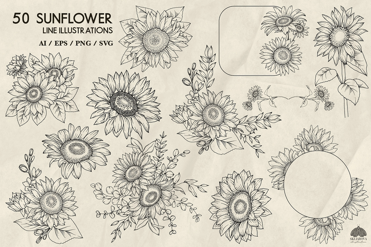 Sunflowers line art + Procreate, a Decorative Illustration by Skliarova (Photo 4 of 5)