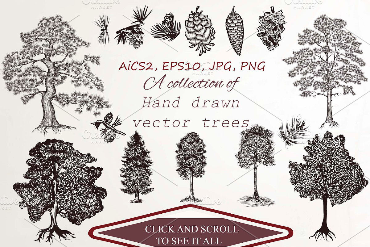 Big set of detailed vector trees, an Object Graphic by FleurArt