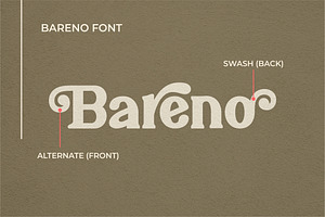 Bareno Modern Retro Serif Font