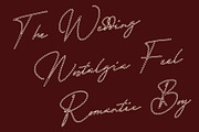 CS Aisling Dashed, a Script Font by Craft Supply Co. (Thumbnail 3 of 8)