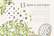 Passion Fruit Watercolor Clip Art, a Food Illustration by Elena Malgina Clipart (Thumbnail 6 of 16)