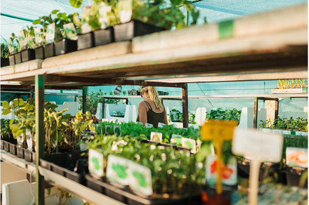 A gardener woman working at nursery, a Person Photo by Manu Reyes