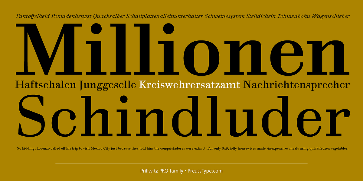 Prillwitz PRO, a Serif Font by preussTYPE (Photo 4 of 9)