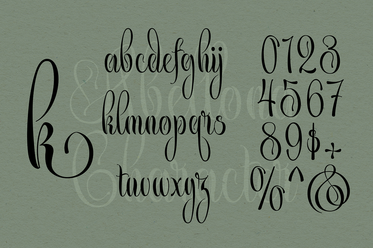 Abellona Script, a Script Font by TypeClassHeroes (Photo 4 of 11)