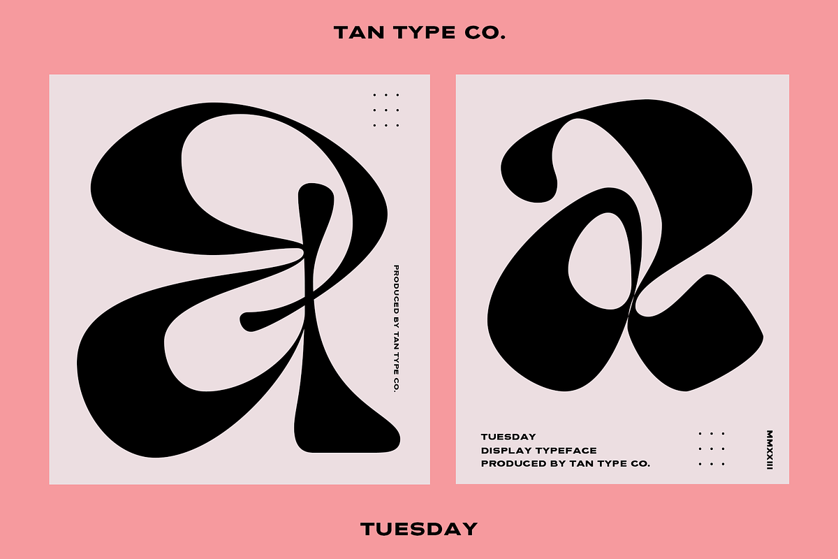 TAN - TUESDAY, a Font by TanType
